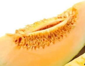 吃瓜蜜瓜嗓子,吃瓜蜜瓜,嗓子畅快一夏