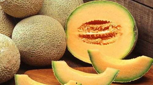冬菇吃哈密瓜,营养美味的新奇搭配